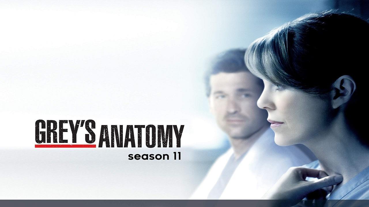 مسلسل Grey's Anatomy الموسم 11 الحلقة 16 السادسة عشر مترجمة