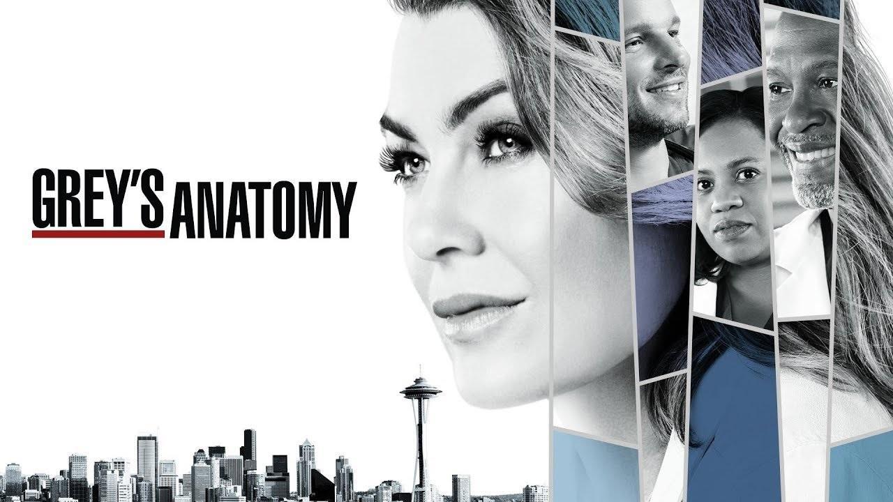مسلسل Grey's Anatomy الموسم 14 الحلقة 16 السادسة عشر مترجمة