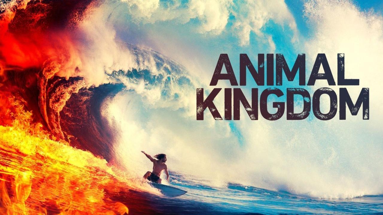 مسلسل Animal Kingdom الموسم الرابع الحلقة 13 الثالثة عشر والاخيرة مترجمة